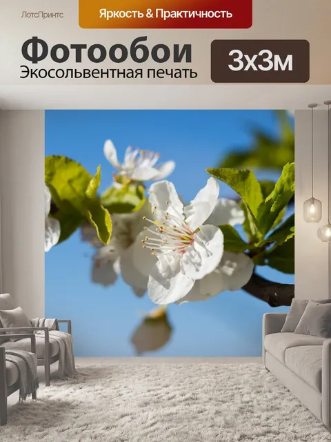 Фотообои Природа