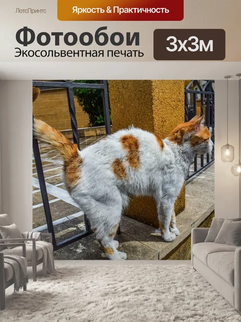 Фотообои Кошка