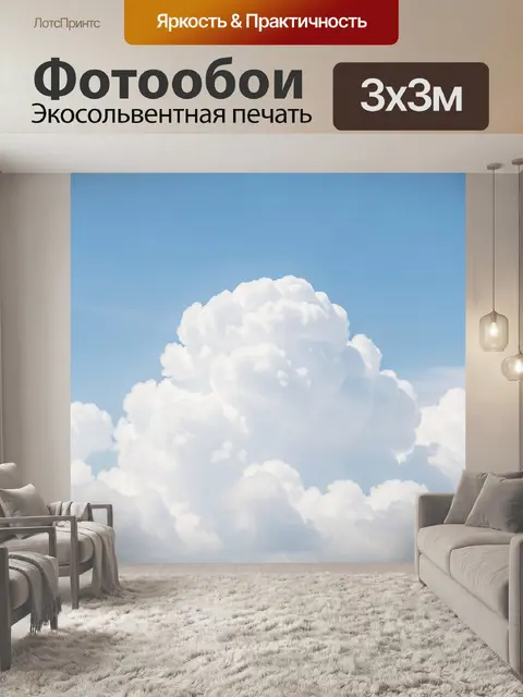 300 × 300 см · Экосольвентная печать
