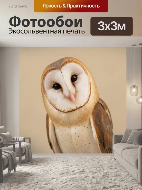 Фотообои Сова на светлом фоне