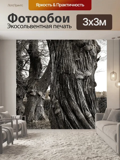 Фотообои Деревья