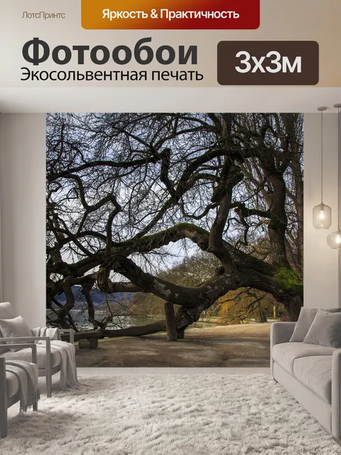 Фотообои Остров майнау