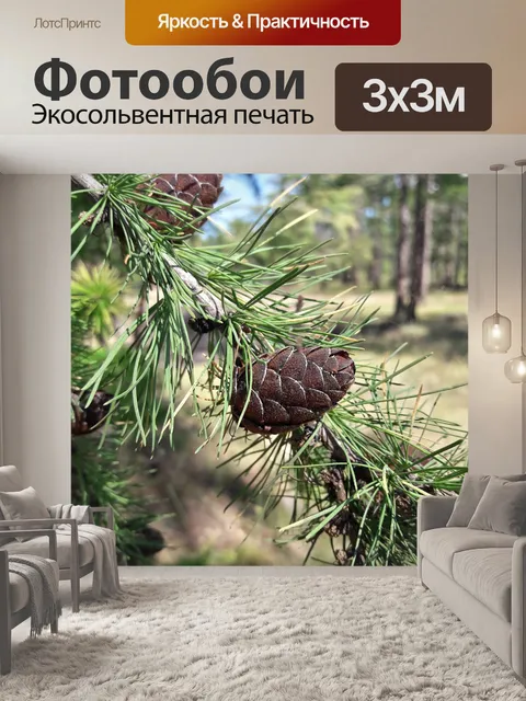 Фотообои Лес