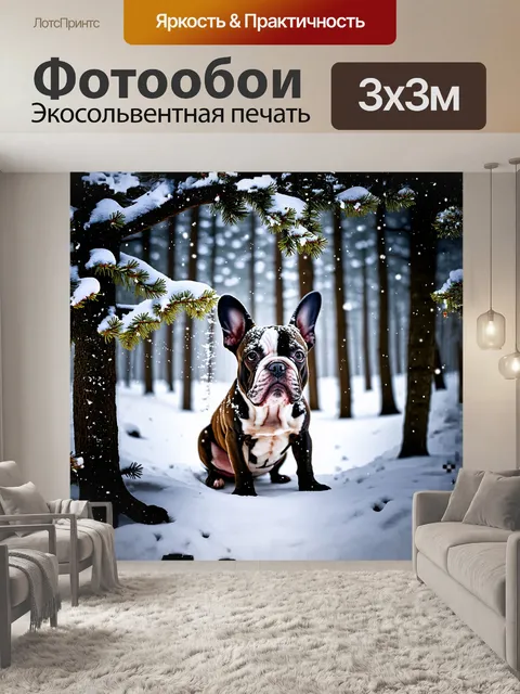 Фотообои кристально чистый зимний лес, где французский бульдог находит укрытие под снежными ветвями
