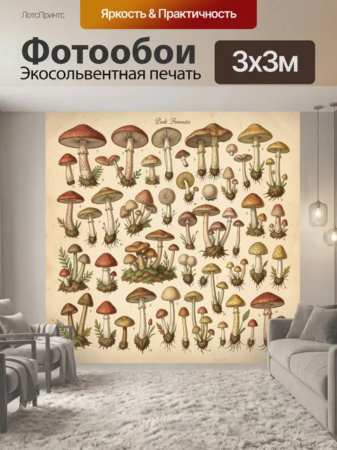 Фотообои Ботаническая коллекция грибов