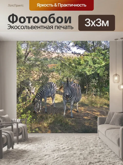 Фотообои Берчелл зебра под деревьями