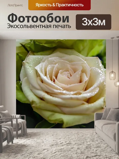 Фотообои Розы