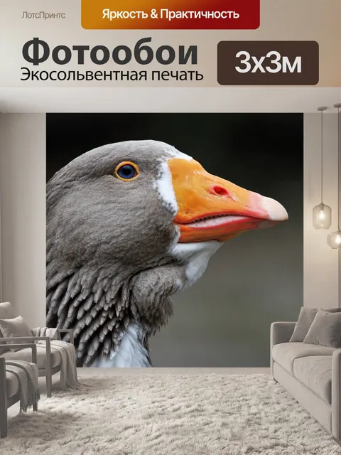 Фотообои Птица