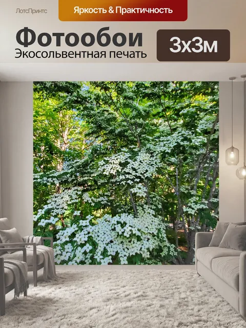 Фотообои Кизиловое дерево