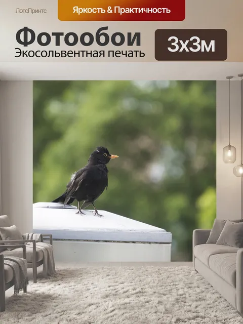 Фотообои Птица