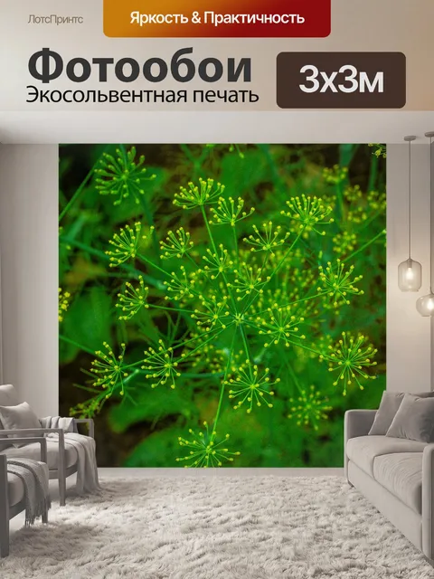 Фотообои Овощ