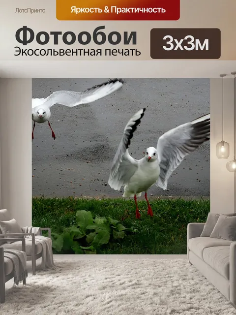 Фотообои Птицы