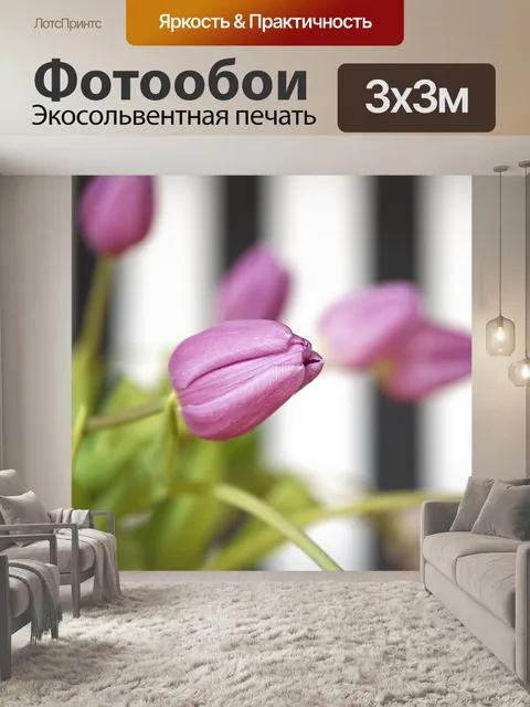 Фотообои Тюльпаны