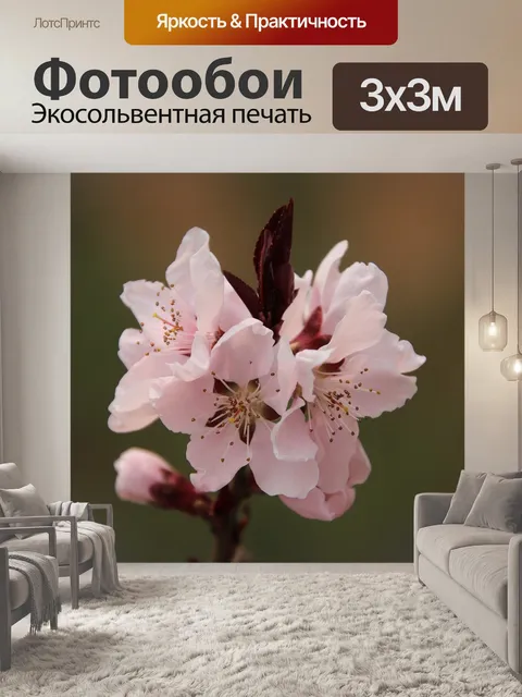 Фотообои Персиковый цвет