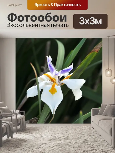 Фотообои Фея Ирис цветок