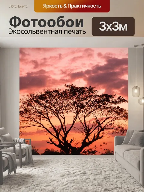 Фотообои дерево на закате