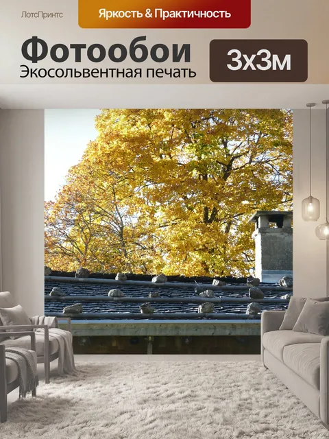 Фотообои Крыша