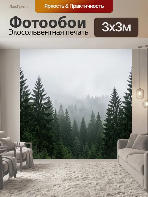 Фотообои Туманный хвойный лес