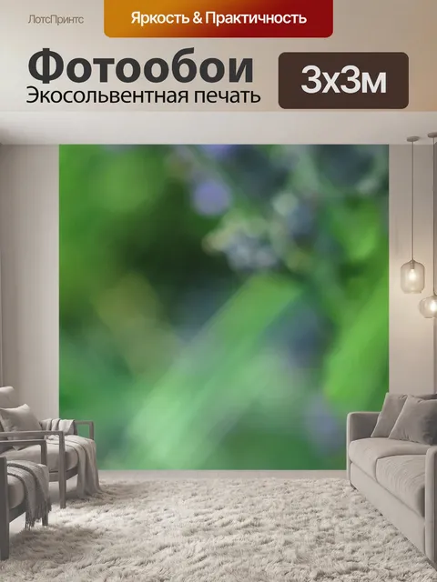 Фотообои Голубянок