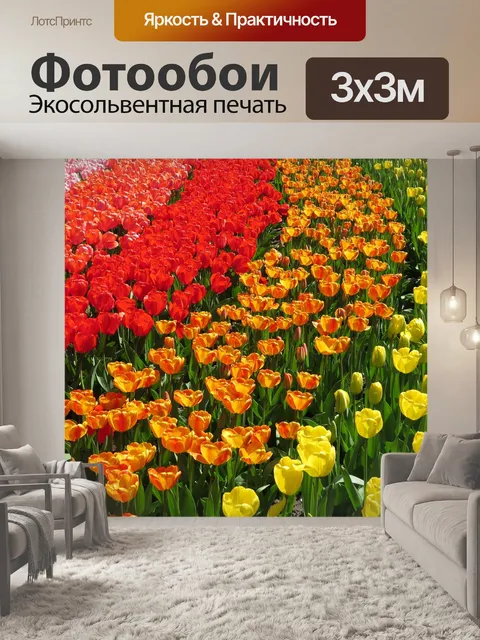 Фотообои Тюльпан