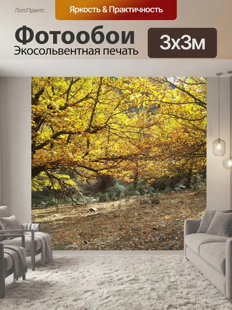 Фотообои Браун