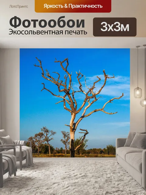Фотообои Мертвое дерево, силуэт дерева