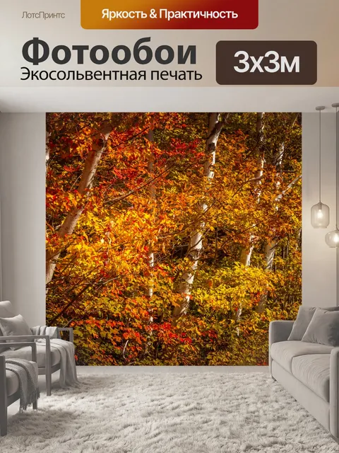 Фотообои Деревья осенью