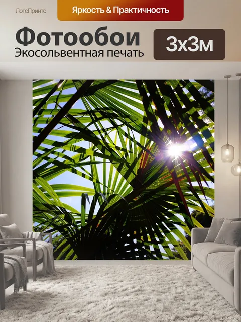 Фотообои Пальмы