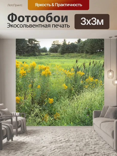 Фотообои поля