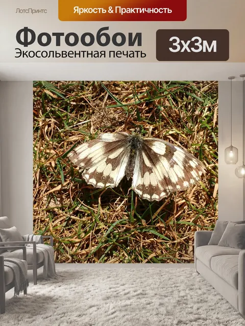 Фотообои Бабочка