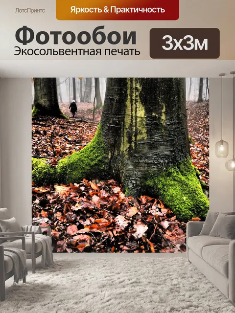 Фотообои Лес