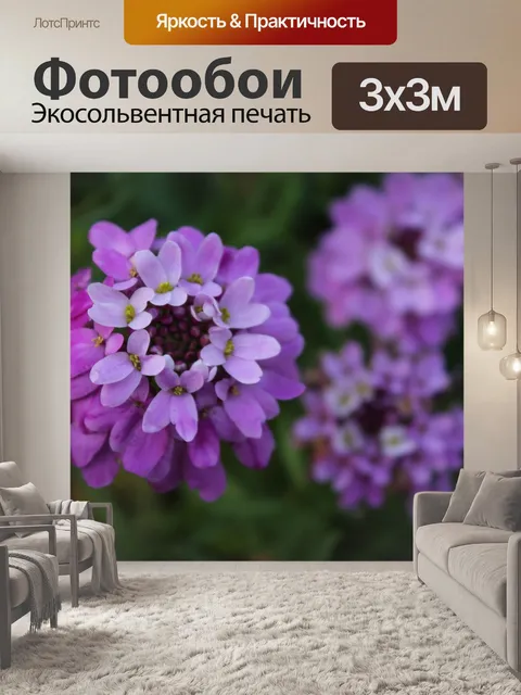 Фотообои Цветы