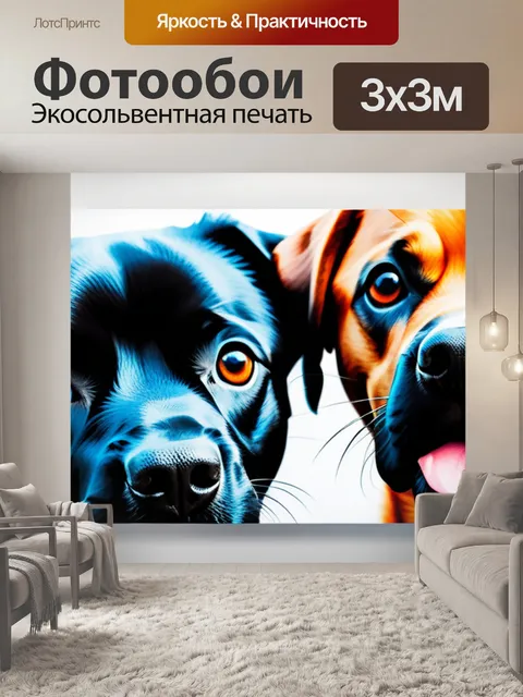 Фотообои с собаками минимал