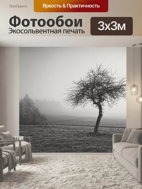 Фотообои Туман