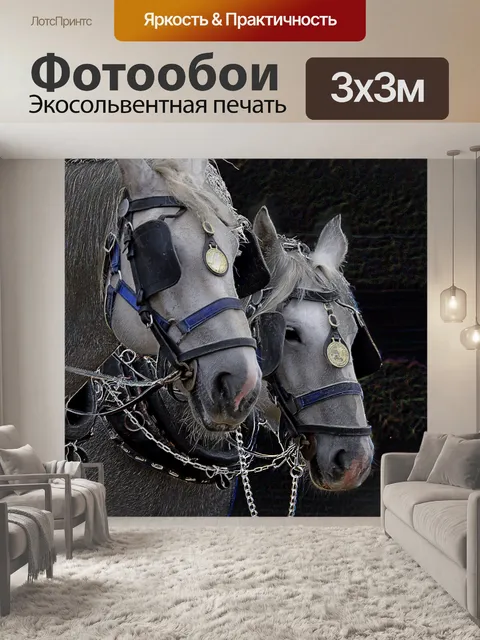 Фотообои Пара в упряжке