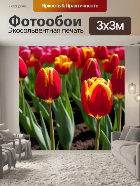 Фотообои новый взгляд на тюльпаны