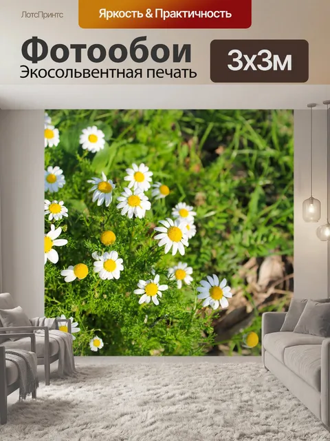 Фотообои Луг