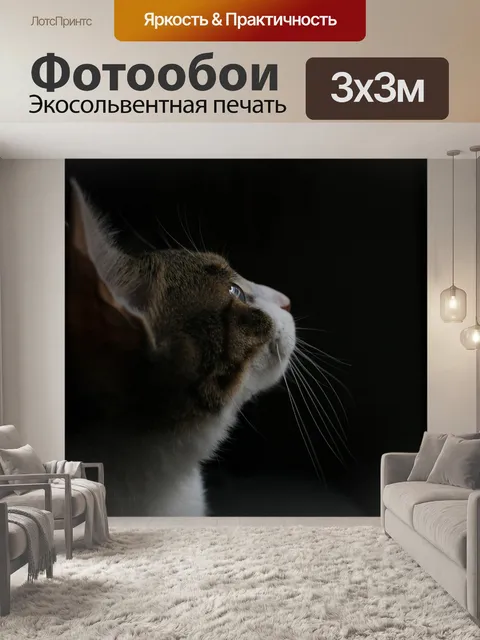Фотообои Кошка