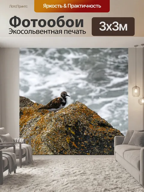 Фотообои Птица с видом на море