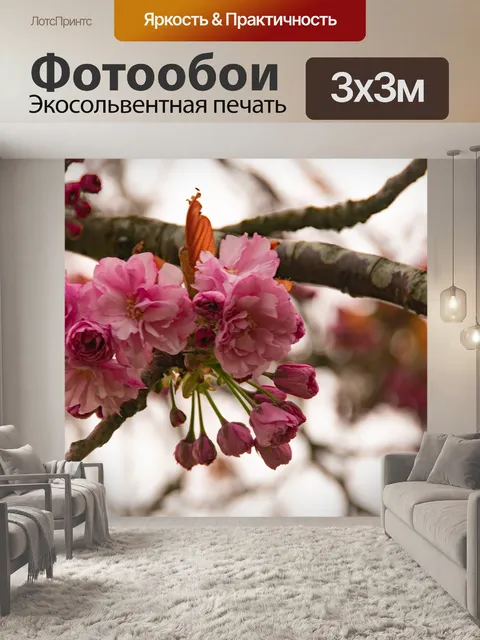Фотообои Цветение вишни