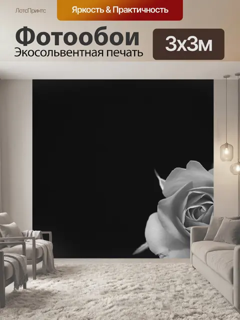 Фотообои Роза