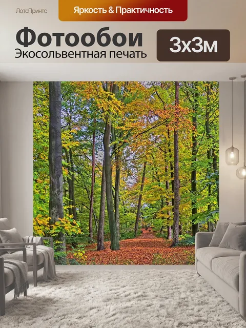 Фотообои Осенний лес