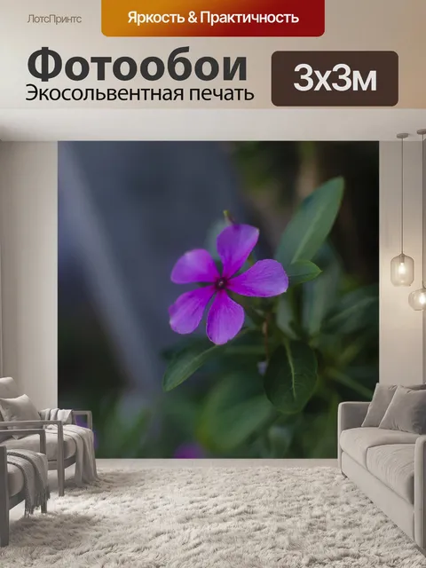 Фотообои Цветы