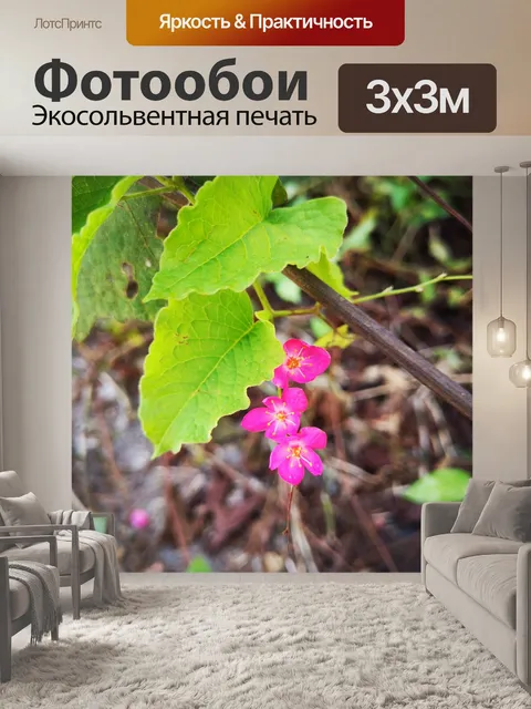 Фотообои Цветок