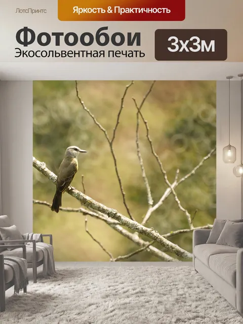 Фотообои Природа