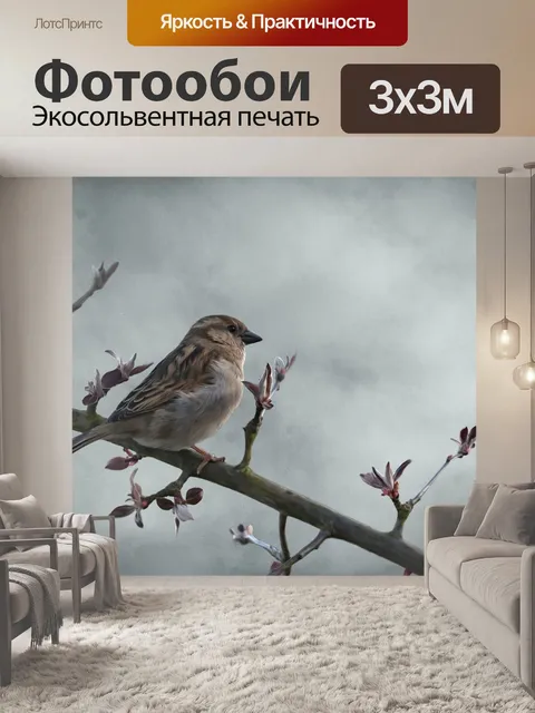 Фотообои Птица