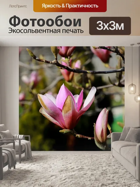 Фотообои Цветы