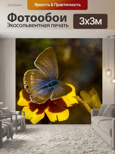 Фотообои Осенние листья