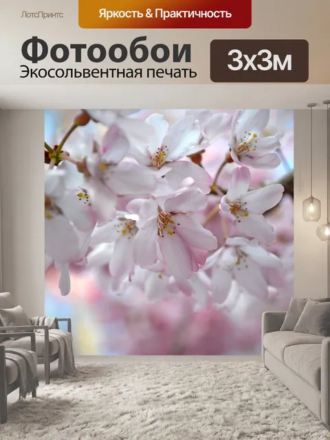 Фотообои Сакура
