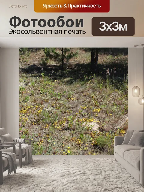 Фотообои Цветы